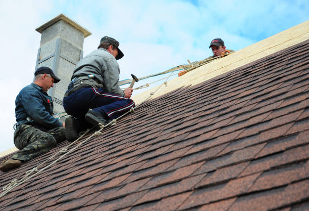 Best Shingle Roofing Installation  in Dodgeville, WI